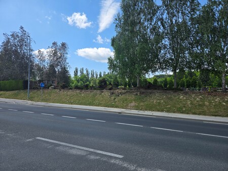 Zasaditev pokopališče Ljutomer3